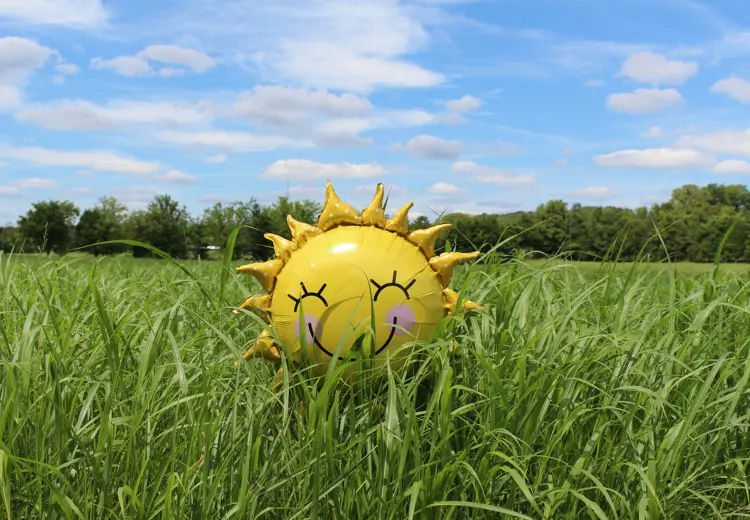 Veel mensen worden blij van de zon.